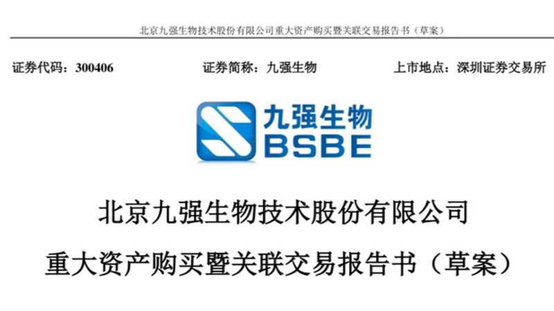 分子生物学试剂分类标准解析：如何选择合适的代理**