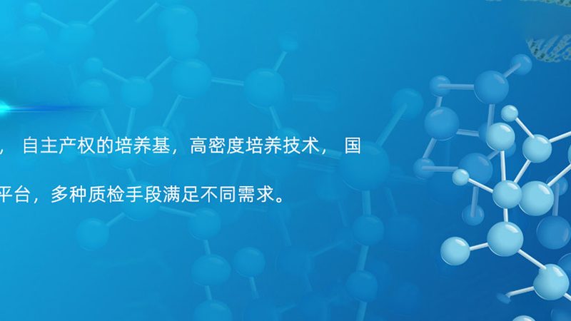 精准之选：高精度实验室耗材的品牌推荐与解析**