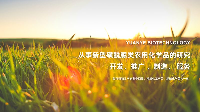 生物科技研发，人才选拔的精准指南**