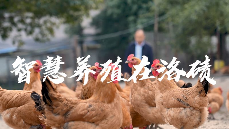 GMP车间排风系统：设计与选型的关键要素**