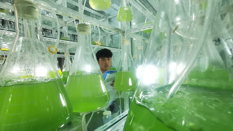 揭秘上海细胞工厂：与普通工厂的五大差异